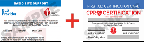 Sample American Heart Association AHA BLS CPR Card Certificaiton and First Aid Certification Card from CPR Certification Wesley Chapel