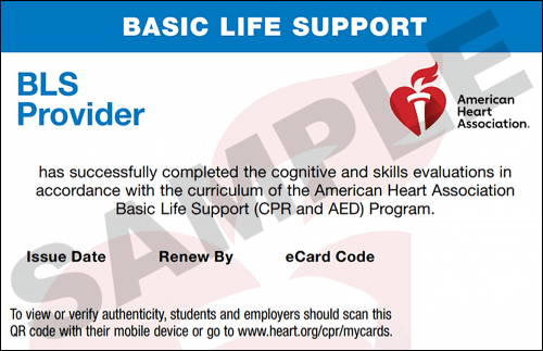 Sample American Heart Association AHA BLS CPR Card Certification from CPR Certification Wesley Chapel