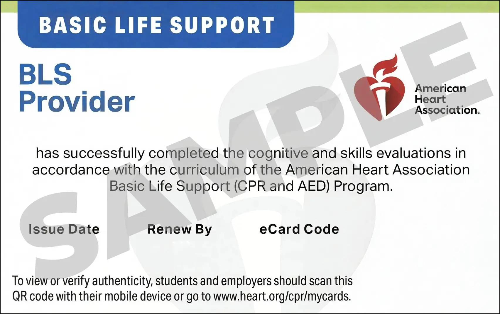 Sample American Heart Association AHA BLS CPR Card Certification from CPR Certification Wesley Chapel